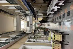 Колорит Стамбула: из Европы в Азию - 8