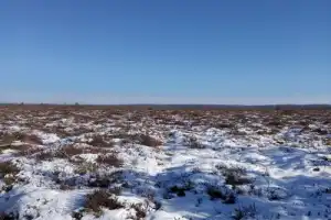 Зимний болотинг — настоящий экстрим по-белорусски (из Браслава) Зимний болотинг — настоящий экстрим по-белорусски (из Браслава)