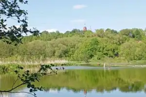 Сосновый бор, море и монастырь — для тех, кто устал от цивилизации