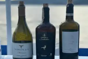 Винные прогулки: Стамбул с сомелье - 9