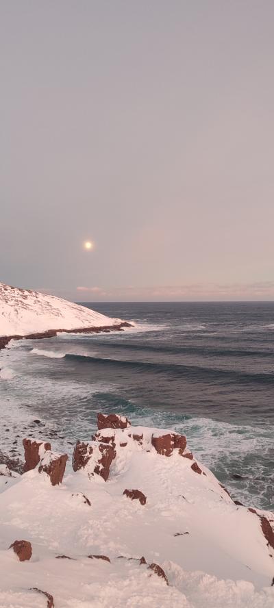 Время Севера: Териберка, киты и морские деликатесы - 13