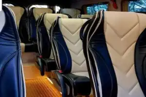 Две Кахетии за 1 день: пещерный монастырь Давид-Гареджи, пустыня и город Сигнаги - 23