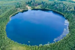 Групповая экскурсия к замку Шереметева и озеру Светлояр - 2