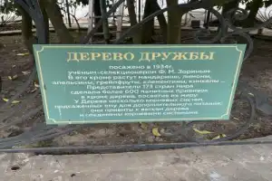 Удивительный Сочи: знакомство с городом - 5