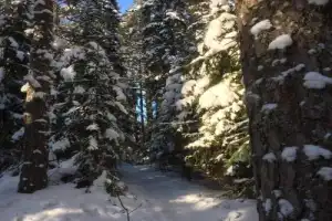 Прогулка по зимней Карелии тропами лешего Хийси - 11