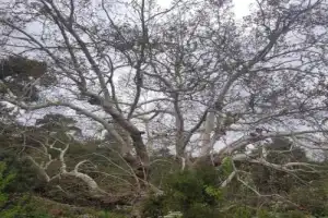 Гора Тахталы и треккинг по Ликийской тропе — в мини-группе - 12