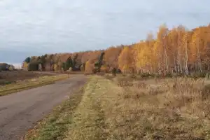 Орловское Полесье: по следам зубров, вятичей и героев Тургенева - 19