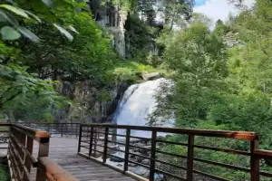 По Телецкому озеру на катере с прогулкой к водопадам - 4