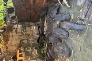 Вечерний Бангкок: закат, уличная еда и тайны мегаполиса - 16