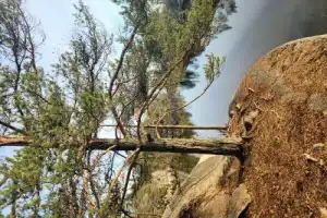 Скалистое ожерелье Приладожья: прогулка на катере из Сортавалы - 7