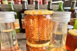 Из Котора — к сердцу северных гор! - 5