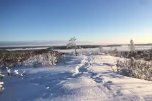 Прогулка по зимней Карелии тропами лешего Хийси - 2