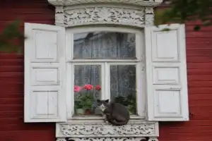 Городец — пряничный: экскурсия + дегустация из Нижнего Новгорода - 2