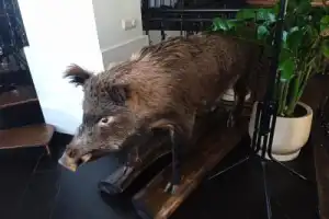 Семь городов вокруг Нижнего - 12