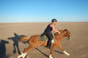 Конные прогулки по пустыне и к Красному морю - 9