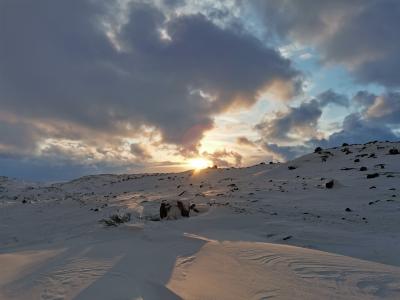 Териберка, или российский Йотунхейм - 18