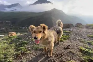 Северная Осетия в душевной компании - 7