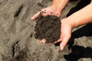 Мартвильский каньон, чёрные пески Уреки и пещера Прометея — из Батуми - 3