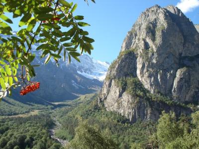 Поездка в Алагирское, Цейское и Мамисонское ущелья за один день + пикник