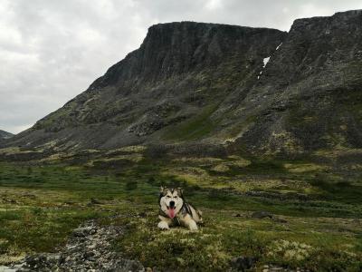 Земля саами: Териберка и великие сейды Севера - 4