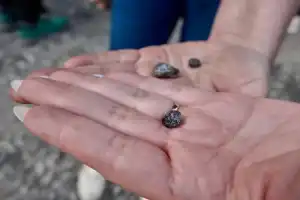 Из Сортавалы — к лесным водопадам и месторождению граната - 8