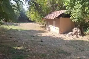 Ташкент: колорит Старого города - 10