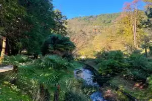 Из Стамбула — на термальный курорт Ялова! - 13