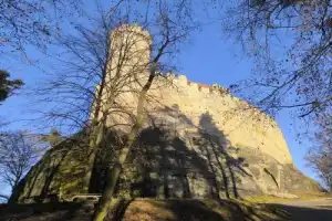 Из Праги — в Мельник: вино, пиво, местные деликатесы и замки - 4