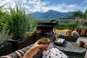 Поедем, поедим! Гастротур из Адлера Поедем, поедим! Гастротур из Адлера