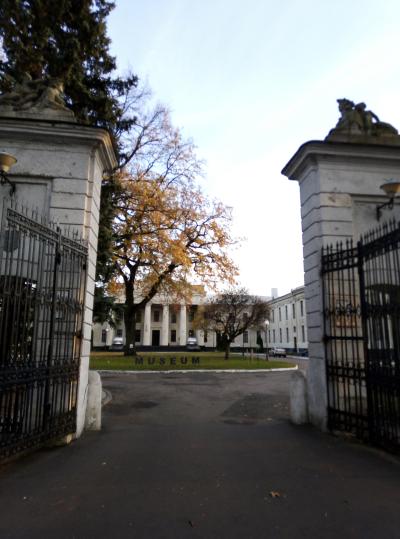 Шерше ля фам, или Гродно в женских лицах - 3