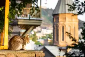 Тбилиси — увидеть и прочувствовать