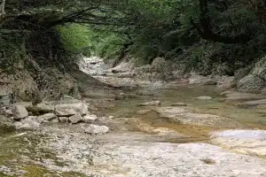 Из Сухума в Кодорское ущелье — к водопадам, тропам и скалам - 12
