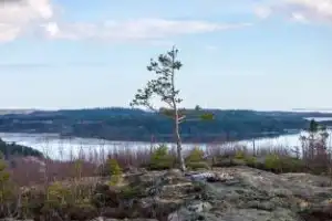 Исцеляющее путешествие «В поисках своего Сампо» - 11