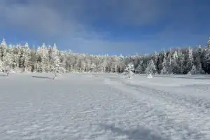 Главное в Карелии для тех, кто здесь впервые - 14