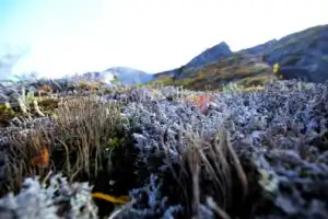 По Хибинам с учёным-экологом - 2