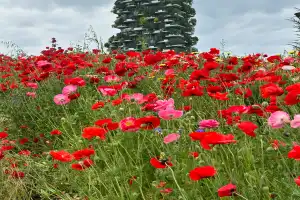 Пешком по Милану от Кастелло до Дуомо - 9