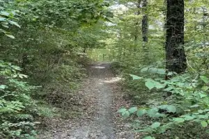 Хайкинг на гору Нексис в Геленджике - 8