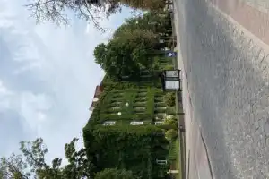 Из Минска в Гродно — город королей - 6