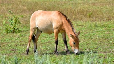 Прекрасный день в Смоленском Поозерье - 6