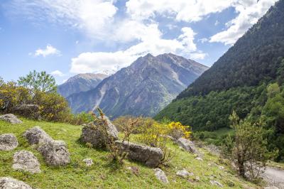 Нетронутая красота горной Дигории - 7