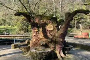 Из Стамбула — на термальный курорт Ялова! - 16