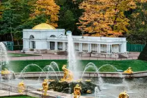 Всё и сразу в Петергофе (из Петербурга) - 23