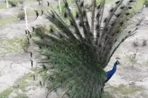 Вкусное путешествие в сердце Востока: Ташкент, Самарканд и Бухара в мини-группе - 2