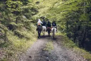 Верхом на свободе: побег из Боржоми в нацпарк «Харагаули» - 23