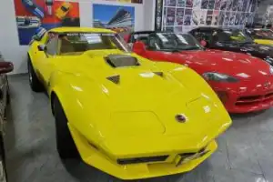 Сириус Автодром и музей Ника Панули - 7