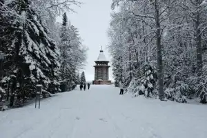 Малые Корелы и Лявля: деревянное зодчество Русского Севера - 11