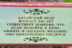 По Телецкому озеру на катере с прогулкой к водопадам - 15