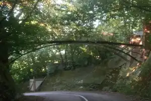 2 в 1: Воронеж и дворец Ольденбургских в Рамони - 10