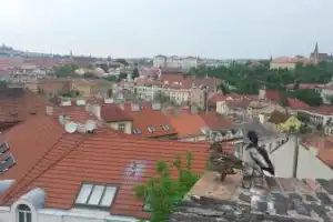 Вышеград и Пражский Град: тайны и легенды вечерней Праги - 2