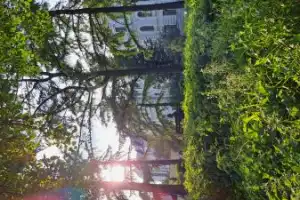 Ярославль в объятиях вечерних сумерек